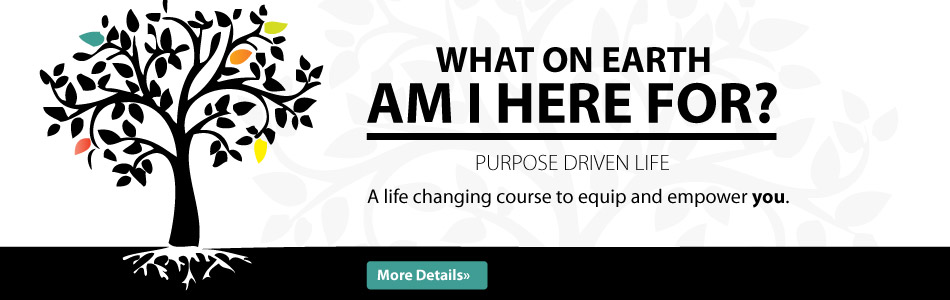 Endis-Web-Banner-Purpose-Drive